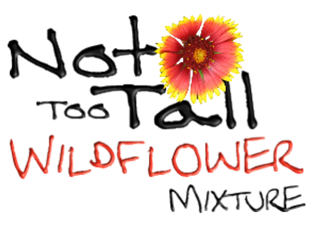 Not Too Tall Wildflower Mixture