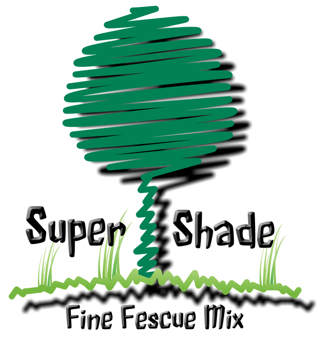 Super Shade Fine Fescue Blend