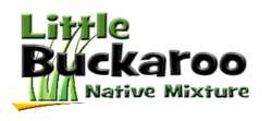Little Buckaroo Native Mixture
