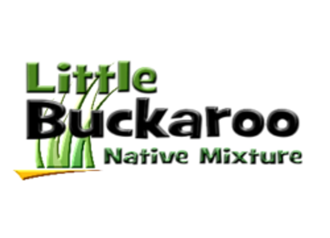 Little Buckaroo Native Mixture